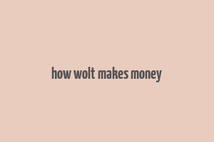 how wolt makes money