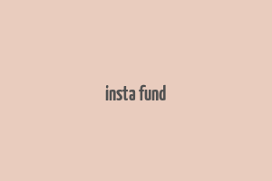 insta fund