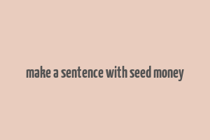 make a sentence with seed money