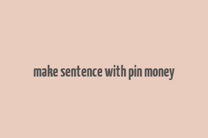 make sentence with pin money