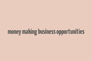 money making business opportunities