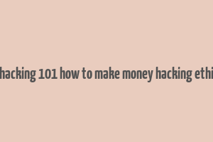 web hacking 101 how to make money hacking ethically