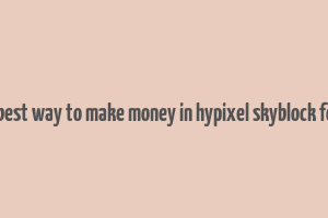 what is the best way to make money in hypixel skyblock for beginners