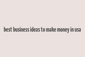 best business ideas to make money in usa