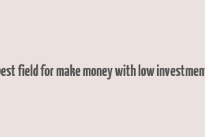 best field for make money with low investment