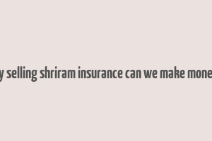 by selling shriram insurance can we make money