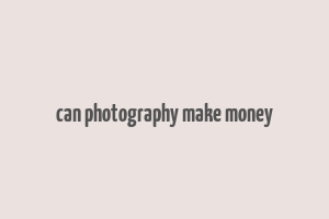 can photography make money