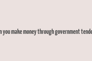 can you make money through government tenders