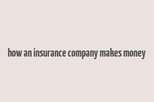 how an insurance company makes money