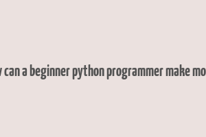 how can a beginner python programmer make money