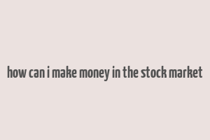 how can i make money in the stock market