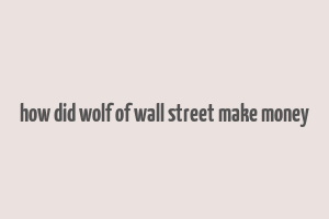 how did wolf of wall street make money