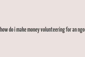 how do i make money volunteering for an ngo