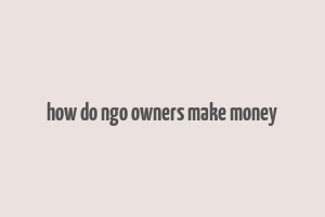 how do ngo owners make money