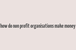 how do non profit organisations make money