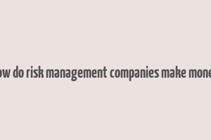 how do risk management companies make money