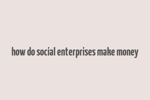 how do social enterprises make money