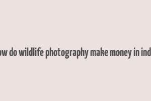 how do wildlife photography make money in india