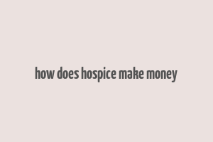 how does hospice make money