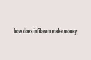 how does infibeam make money