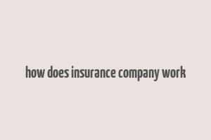 how does insurance company work