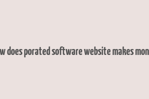 how does porated software website makes money