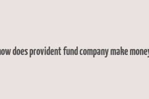 how does provident fund company make money