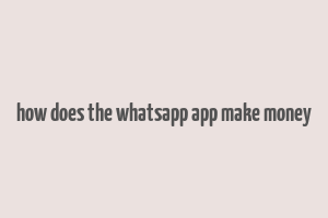 how does the whatsapp app make money