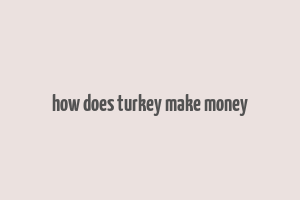 how does turkey make money