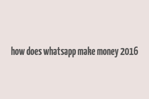 how does whatsapp make money 2016