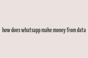 how does whatsapp make money from data