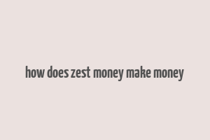 how does zest money make money