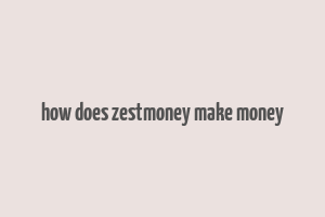 how does zestmoney make money