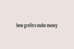 how grofers make money