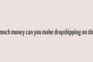 how much money can you make dropshipping on shopify