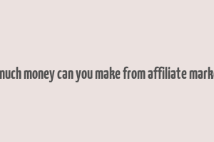 how much money can you make from affiliate marketing