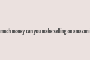 how much money can you make selling on amazon india