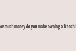 how much money do you make owning a franchise