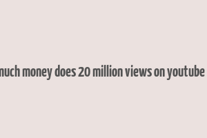 how much money does 20 million views on youtube make