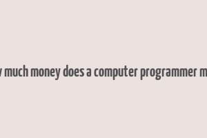 how much money does a computer programmer make