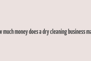 how much money does a dry cleaning business make