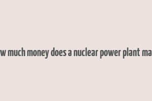 how much money does a nuclear power plant make