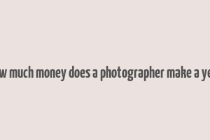 how much money does a photographer make a year