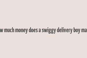 how much money does a swiggy delivery boy make