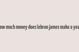 how much money does lebron james make a year