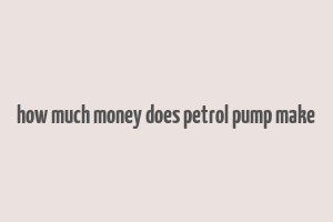 how much money does petrol pump make