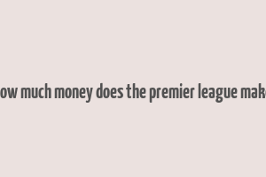 how much money does the premier league make