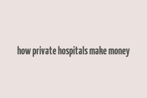 how private hospitals make money