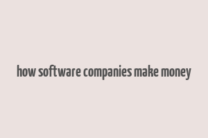 how software companies make money