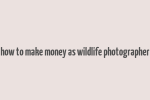 how to make money as wildlife photographer